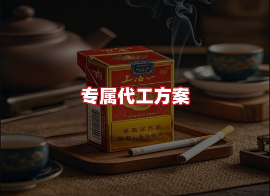专业团队